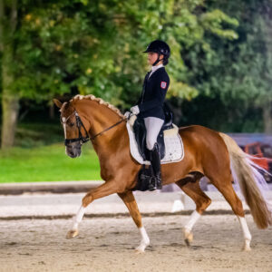 CDI Troisdorf 2023 - autumn