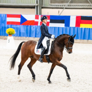 CDI Wroclaw 2023 - autumn
