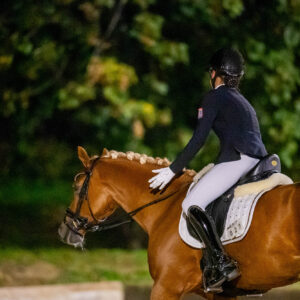 CDI Troisdorf 2023 - autumn