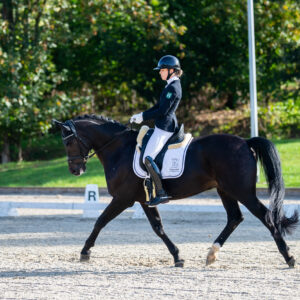 CDI Troisdorf 2023 - autumn
