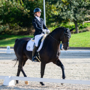 CDI Troisdorf 2023 - autumn