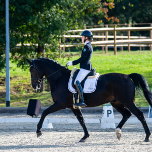 CDI Troisdorf 2023 - autumn