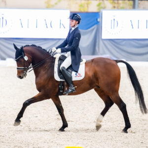 CDI Wroclaw 2023 - autumn