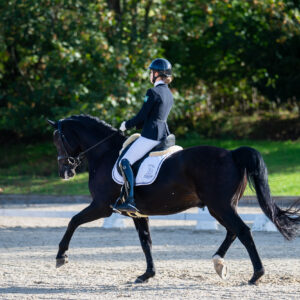 CDI Troisdorf 2023 - autumn