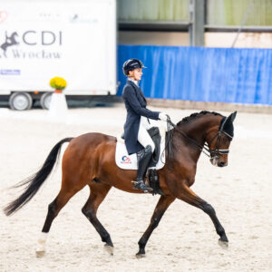 CDI Wroclaw 2023 - autumn