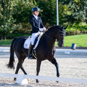 CDI Troisdorf 2023 - autumn