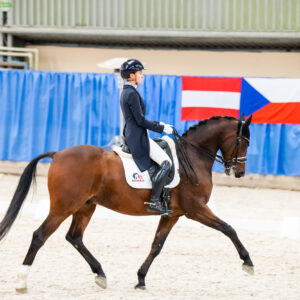 CDI Wroclaw 2023 - autumn