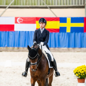 CDI Wroclaw 2023 - autumn