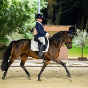 CDI Troisdorf 2023 - autumn