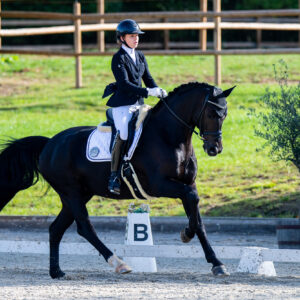 CDI Troisdorf 2023 - autumn