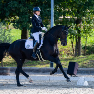 CDI Troisdorf 2023 - autumn