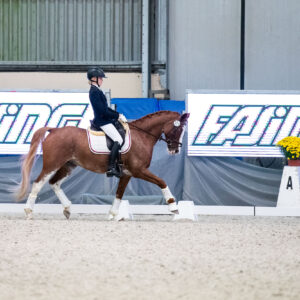 CDI Wroclaw 2023 - autumn