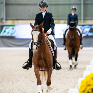 CDI Wroclaw 2023 - autumn