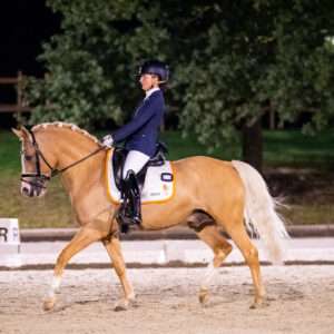 CDI Troisdorf 2023 - autumn