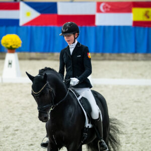 CDI Wroclaw 2023 - autumn