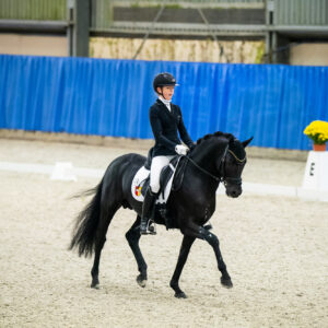 CDI Wroclaw 2023 - autumn