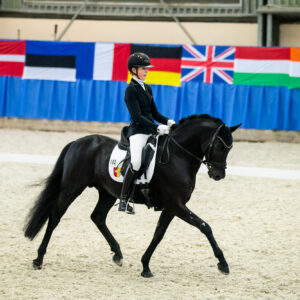 CDI Wroclaw 2023 - autumn