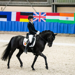 CDI Wroclaw 2023 - autumn
