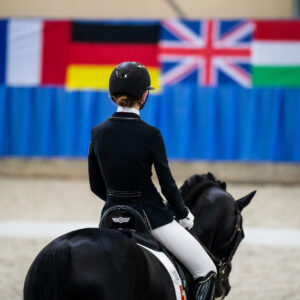 CDI Wroclaw 2023 - autumn