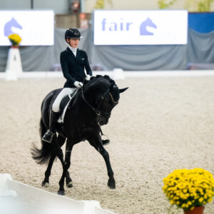 CDI Wroclaw 2023 - autumn