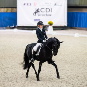 CDI Wroclaw 2023 - autumn