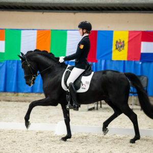 CDI Wroclaw 2023 - autumn