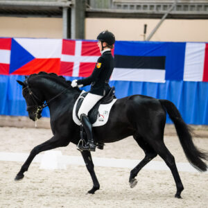 CDI Wroclaw 2023 - autumn