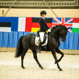 CDI Wroclaw 2023 - autumn