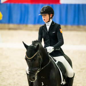 CDI Wroclaw 2023 - autumn