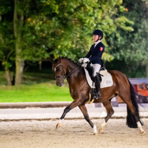 CDI Troisdorf 2023 - autumn