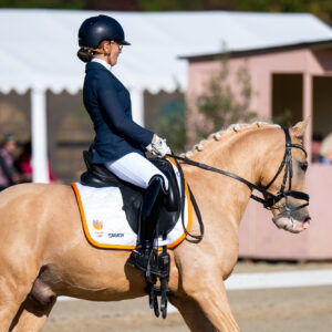 CDI Troisdorf 2023 - autumn