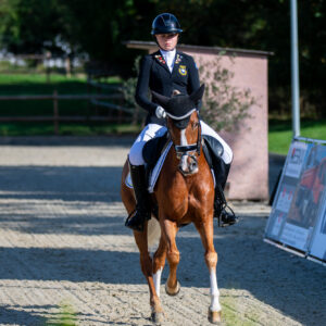 CDI Troisdorf 2023 - autumn