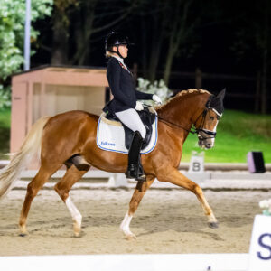 CDI Troisdorf 2023 - autumn