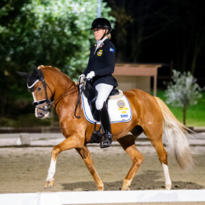 CDI Troisdorf 2023 - autumn