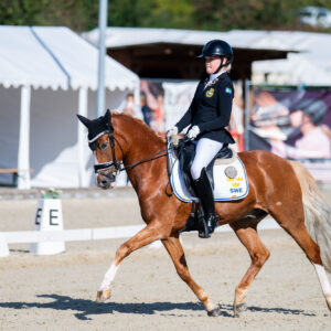 CDI Troisdorf 2023 - autumn
