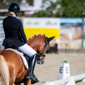 CDI Troisdorf 2023 - autumn