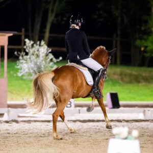 CDI Troisdorf 2023 - autumn