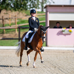 CDI Troisdorf 2023 - autumn