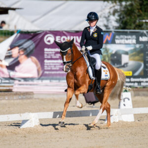 CDI Troisdorf 2023 - autumn