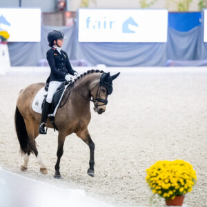 CDI Wroclaw 2023 - autumn