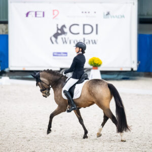 CDI Wroclaw 2023 - autumn