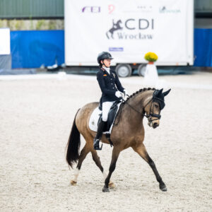 CDI Wroclaw 2023 - autumn