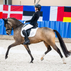 CDI Wroclaw 2023 - autumn