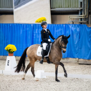 CDI Wroclaw 2023 - autumn