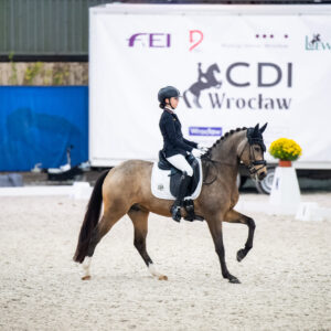 CDI Wroclaw 2023 - autumn