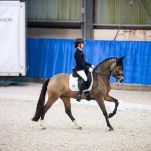 CDI Wroclaw 2023 - autumn