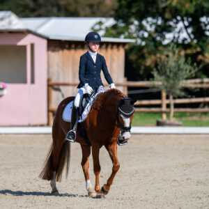 CDI Troisdorf 2023 - autumn