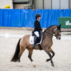 CDI Wroclaw 2023 - autumn