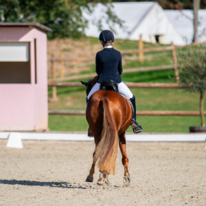 CDI Troisdorf 2023 - autumn