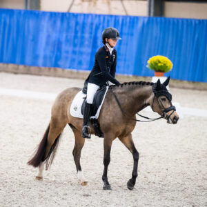 CDI Wroclaw 2023 - autumn